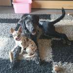 Ersteller:in Stefanie Profilbild