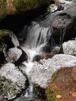 Hundeauslaufgebiet-Naturschutzgebiet Hölle-Bild