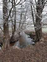 Hundeauslaufgebiet-Naturschutzgebiet Hölle-Bild