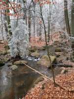 Hundeauslaufgebiet-Naturschutzgebiet Hölle-Bild