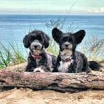 Ersteller:in Nicole Profilbild