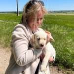 Ersteller:in Stephanie Profilbild