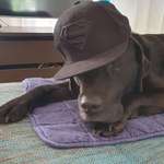 Ersteller:in Alex Profilbild