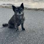 Ersteller:in Silvie Profilbild