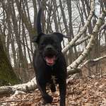 Ersteller:in Marie-luise Profilbild