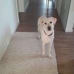 Ersteller:in Marike Profilbild