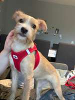 DNA Test übee Herkunft-Beitrag-Bild