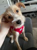 DNA Test übee Herkunft-Beitrag-Bild