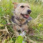 Ersteller:in Anja Profilbild