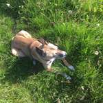 Ersteller:in Coco Profilbild