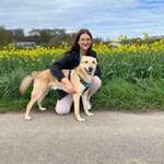 Ersteller:in Anne Profilbild