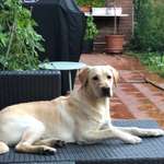 Ersteller:in Angela Profilbild