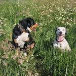 Ersteller:in Kerstin Profilbild