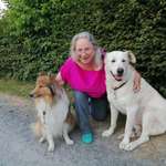 Ersteller:in Barbara Profilbild