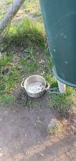 Hundeauslaufgebiet-Postsee-Bild