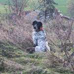 Ersteller:in Ute Profilbild