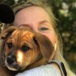 Ersteller:in inka Profilbild