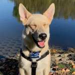 Ersteller:in Dorothee Profilbild