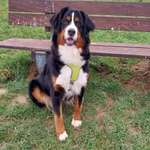 Ersteller:in Marion Profilbild