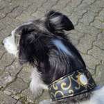 Ersteller:in Mareen Profilbild