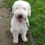 Ersteller:in Justyna Profilbild