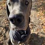 Ersteller:in Nicole Profilbild