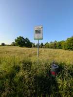 Hundeauslaufgebiet-Bürgerpark-Bild