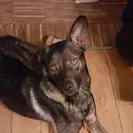 Ersteller:in Larissa Profilbild