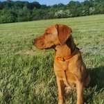 Ersteller:in Jasmin Profilbild