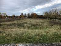 Hundeauslaufgebiet-Der Deich-Bild