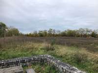 Hundeauslaufgebiet-Der Deich-Bild