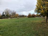 Hundeauslaufgebiet-Der Deich-Bild