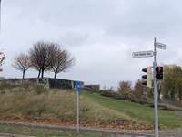 Hundeauslaufgebiet-Der Deich-Bild