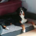 Ersteller:in Marion Profilbild