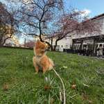 Ersteller:in Kamilla Profilbild