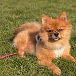 Ersteller:in Kamilla Profilbild