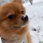 Ersteller:in Kamilla Profilbild