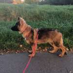 Ersteller:in Julia Profilbild