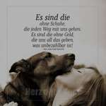 Gesundheitsförderung durch den Hund-Beitrag-Bild