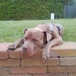 Ersteller:in Johanna Profilbild