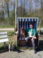 Hundeauslaufgebiet-Gemeinde Park-Bild