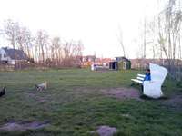 Hundeauslaufgebiet-Gemeinde Park-Bild
