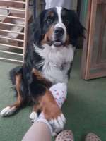 Unsere Loana war noch nicht läufig-Beitrag-Bild