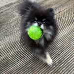 Ersteller:in Heike Profilbild