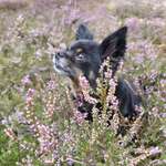 Ersteller:in Aylin Profilbild