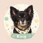 Ersteller:in Aylin Profilbild