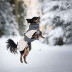 Ersteller:in Aylin Profilbild