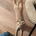 Ersteller:in Jennifer Profilbild