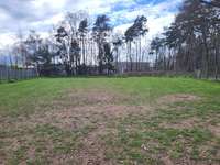 Hundeauslaufgebiet-Industriegebiet Süd-Bild