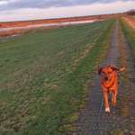 Ersteller:in Yvonne Profilbild